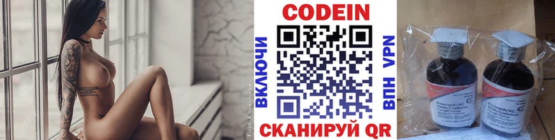 KRAKEN как зайти  где купить наркоту  Петропавловск-Камчатский  Кодеиновый сироп Lean Purple Drank 