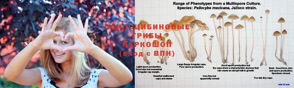 амфетамин Арсеньев